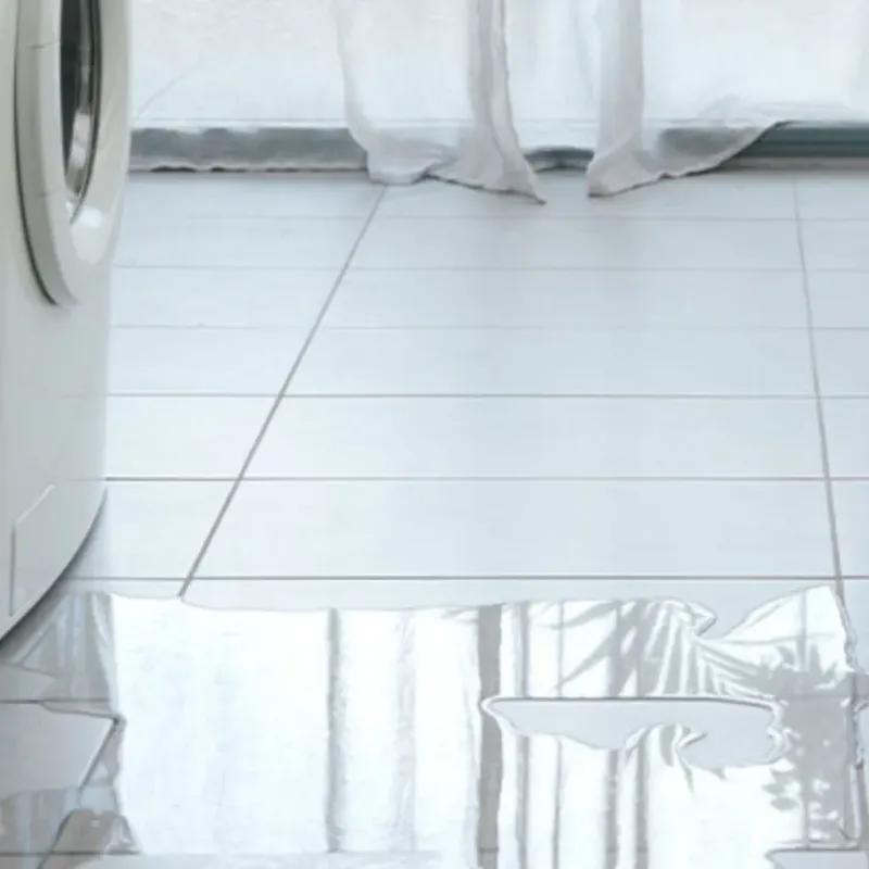 Appliance Leak Cleanup in Summers County, WV
