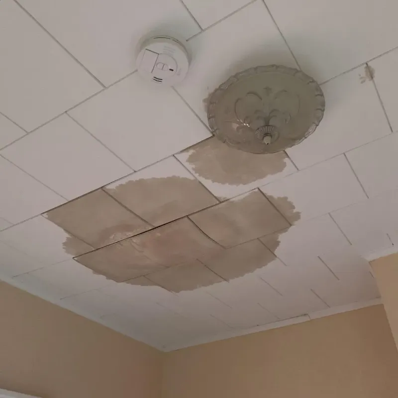 Ceiling Water Damage Repair in Summers County, WV