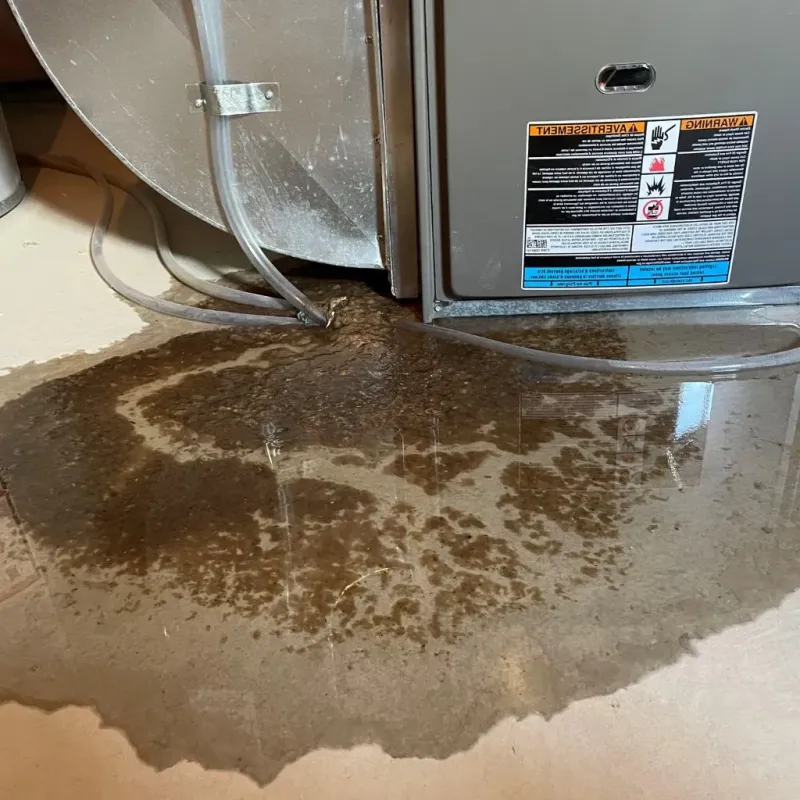 Pipe Burst and Leak Restoration in Summers County, WV