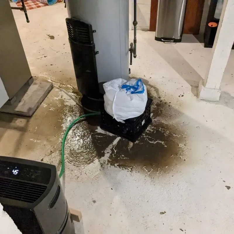Sewage Backup Cleanup Service in Summers County, WV